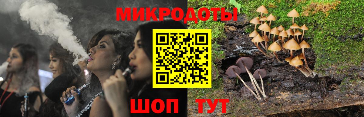 Новодвинск  Псилоцибиновые грибы мицелий  Вход с VPN 